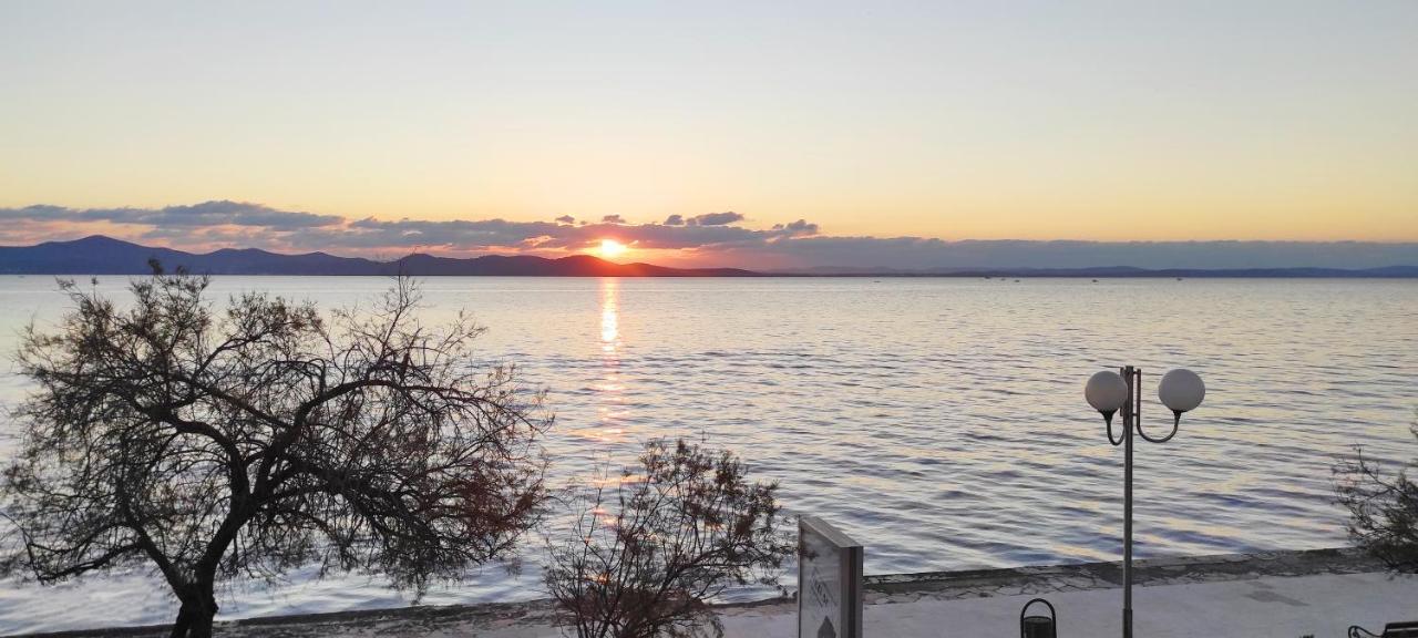 Villa Nico Zadar Eksteriør billede