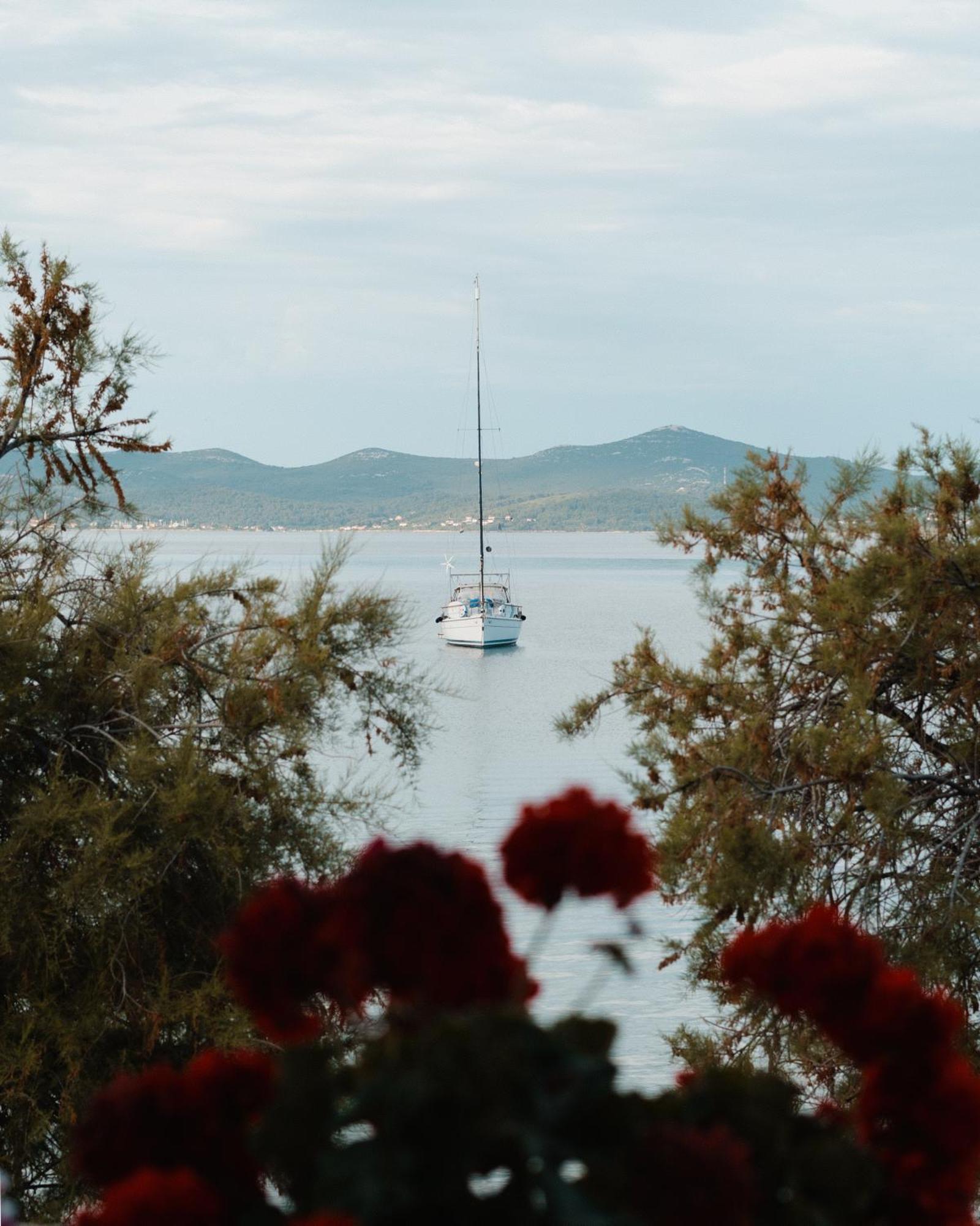 Villa Nico Zadar Eksteriør billede